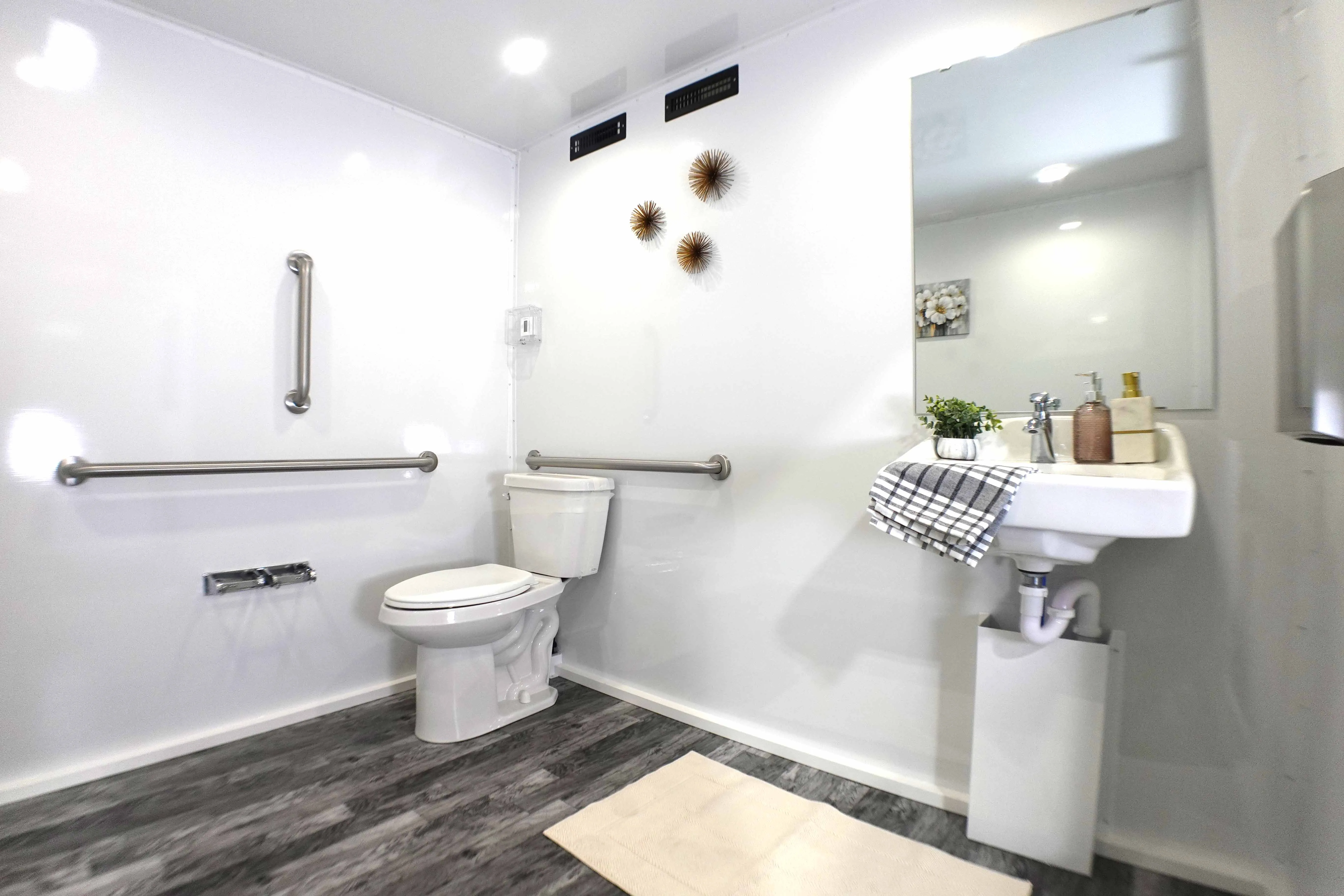 ADA-compliant vanity sink at accessible height with grab bars and premium fixtures